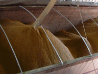 Dried distiller's grain